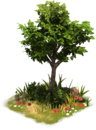 Árbol de la Paciencia