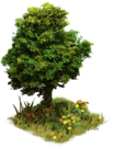 Árbol del Silencio