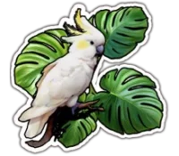 Desafio mundial logo
