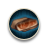 Carnicería Gourmet